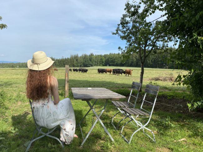Biergarten Kappl Waldsassen Kirche