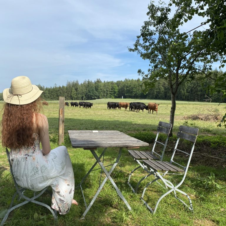 Biergarten Kappl Waldsassen Kirche