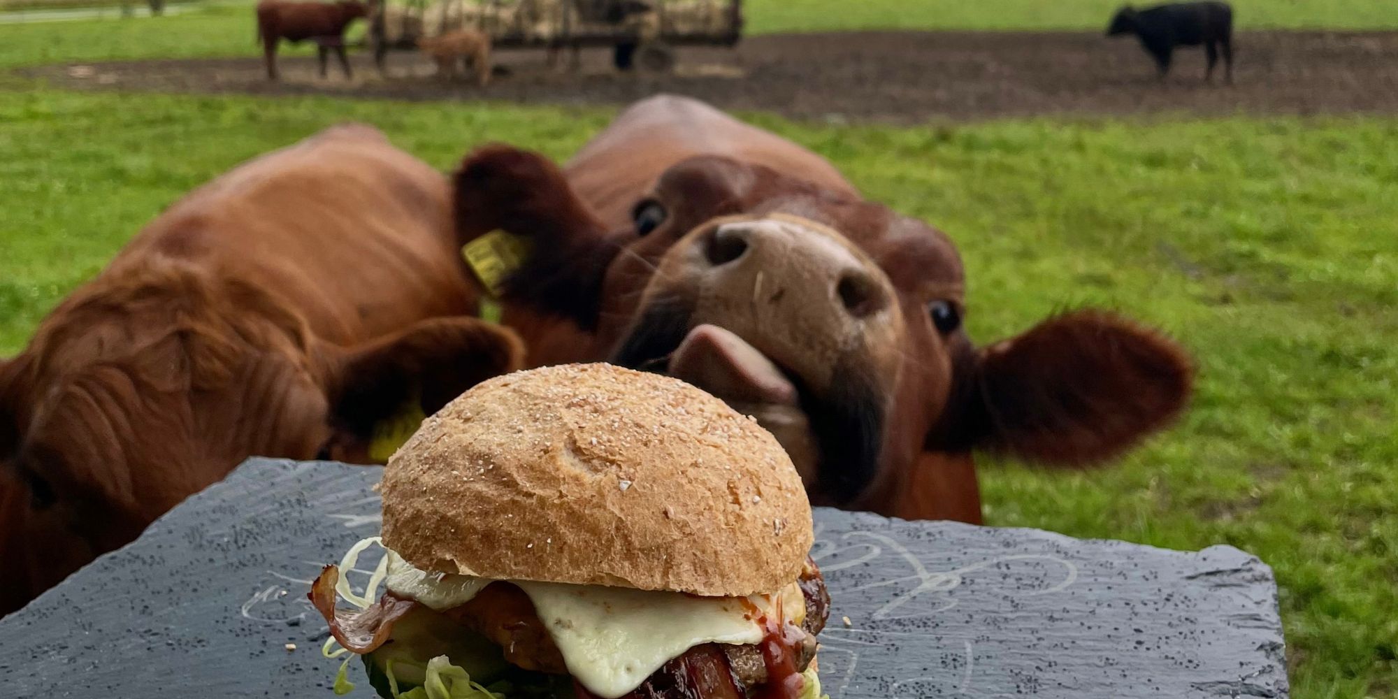 Happy Burger